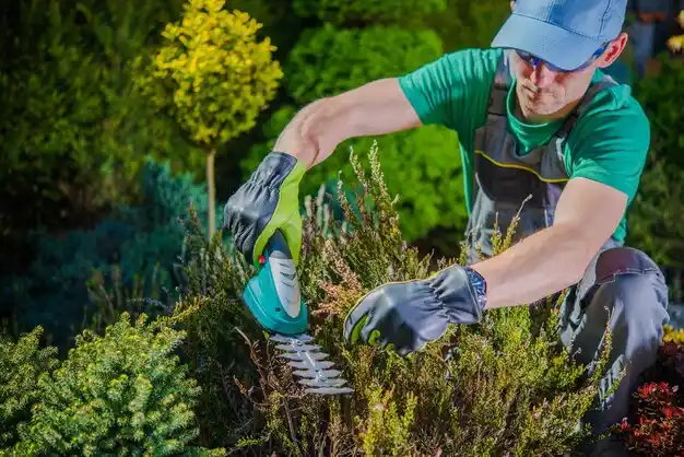 landscaping services Eupora